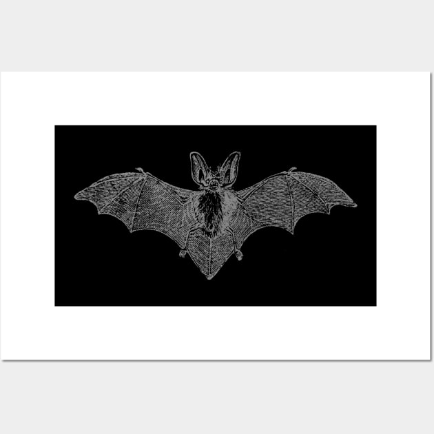 Vintage Bat Wall Art by chrisraimoart